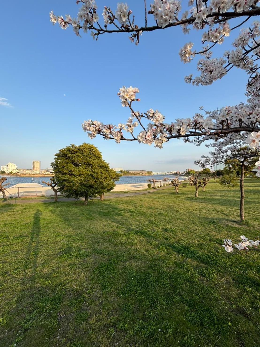 Vacation Inn Heiwajima I โตเกียว ภายนอก รูปภาพ